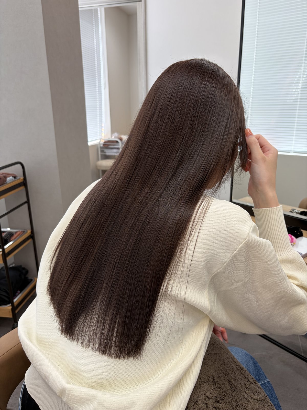 ロングのヘアスタイル（暗髪ブラウン）